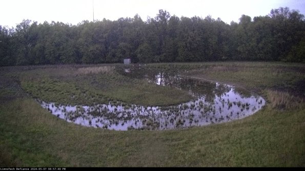 Cell 4_24-05-07_20-57-41-33