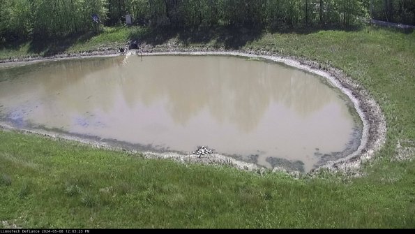 Basin Right_24-05-08_12-03-24-34