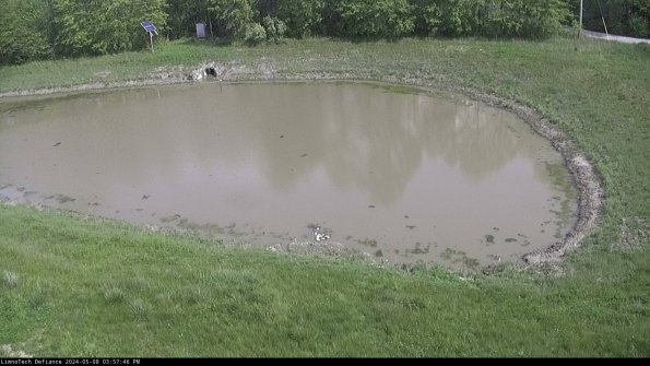 Basin Right_24-05-08_15-57-47-35