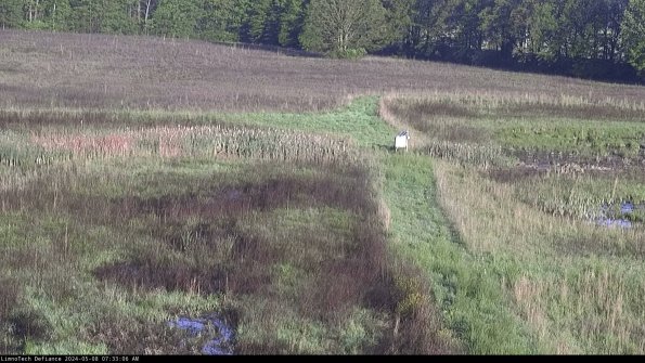 Cell 1 to 2_24-05-08_07-33-07-33