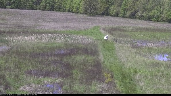 Cell 1 to 2_24-05-08_12-01-02-33