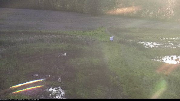 Cell 1 to 2_24-05-08_20-23-21-33