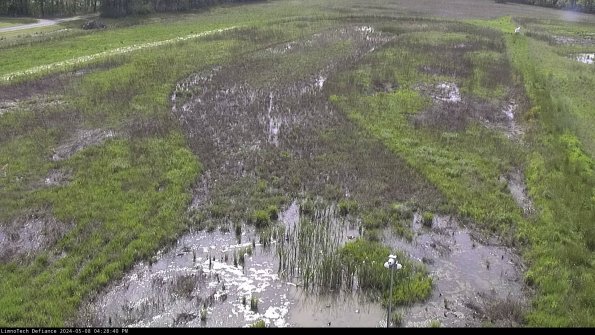 Cell 1_24-05-08_16-28-41-31