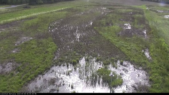 Cell 1_24-05-08_17-35-39-32