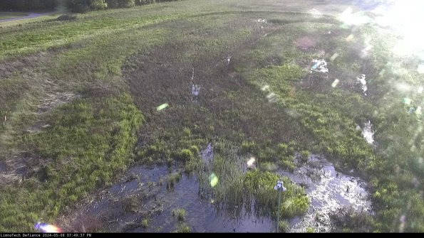 Cell 1_24-05-08_19-49-38-33