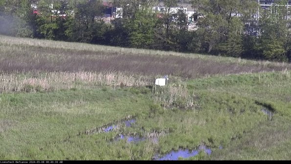 Cell 2 to 3_24-05-08_08-40-31-40