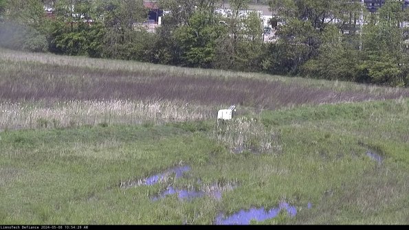 Cell 2 to 3_24-05-08_10-54-29-45