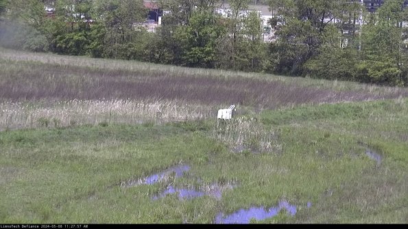 Cell 2 to 3_24-05-08_11-27-58-37