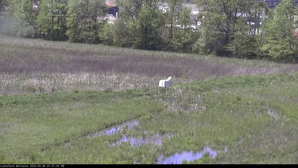 Cell 2 to 3_24-05-08_13-41-55-48