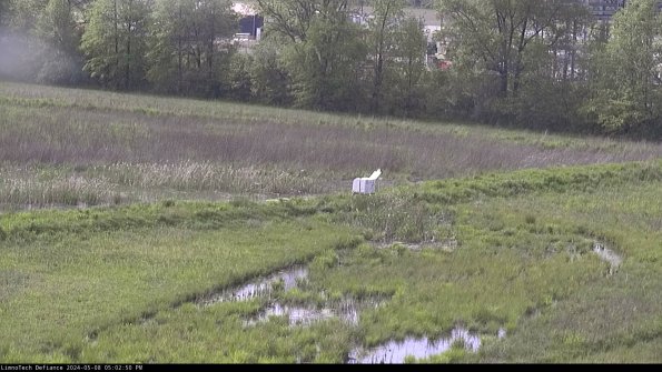 Cell 2 to 3_24-05-08_17-02-51-34