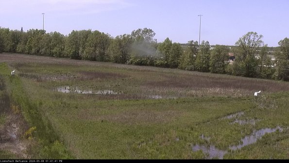 Cell 2_24-05-08_13-41-42-40