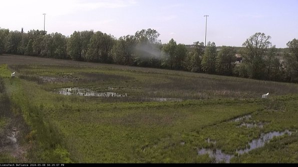 Cell 2_24-05-08_16-29-08-37