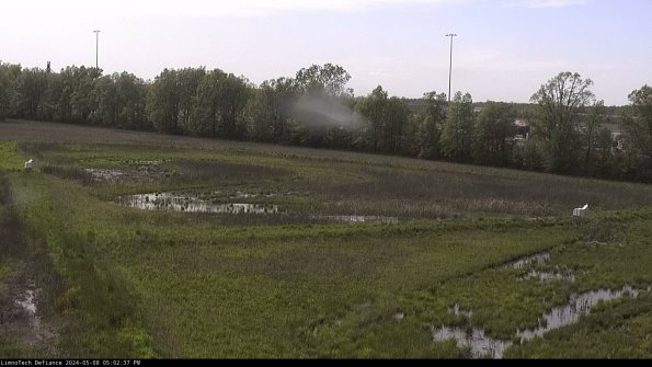 Cell 2_24-05-08_17-02-38-32