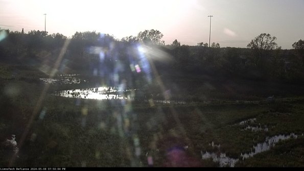 Cell 2_24-05-08_19-50-05-39