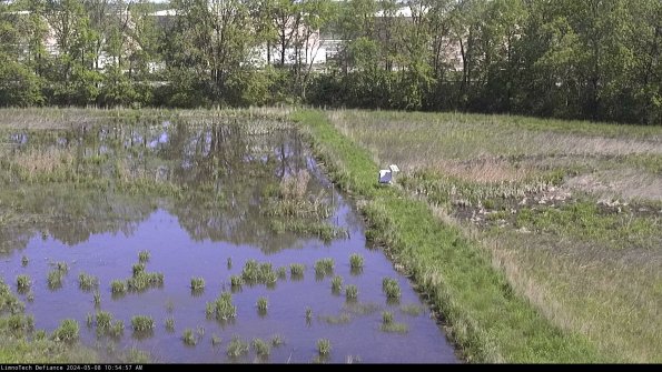 Cell 3 to 4_24-05-08_10-54-58-31