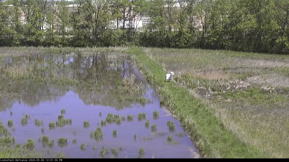 Cell 3 to 4_24-05-08_12-01-57-32