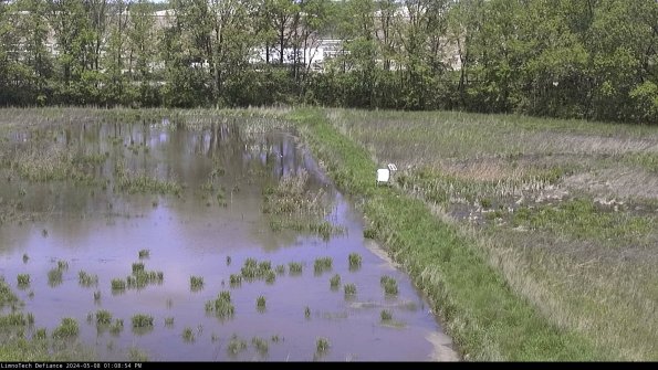 Cell 3 to 4_24-05-08_13-08-55-33