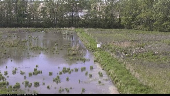 Cell 3 to 4_24-05-08_17-03-19-33