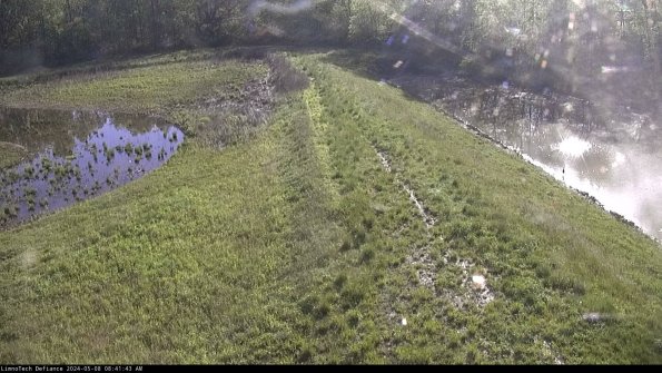 Cell 4 to Basin_24-05-08_08-41-44-34