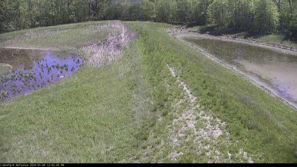 Cell 4 to Basin_24-05-08_12-02-41-33