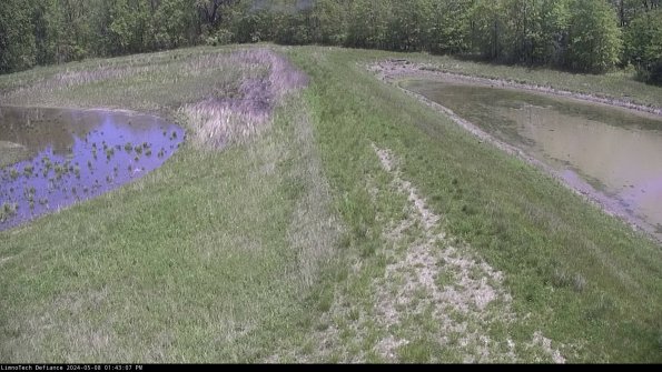 Cell 4 to Basin_24-05-08_13-43-08-32