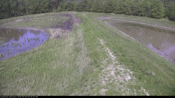 Cell 4 to Basin_24-05-08_16-30-34-33