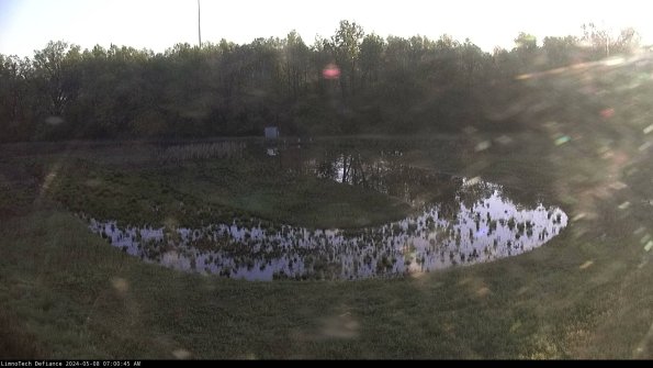 Cell 4_24-05-08_07-00-46-31