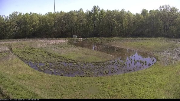 Cell 4_24-05-08_09-48-13-32