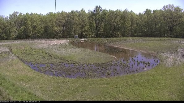 Cell 4_24-05-08_11-28-40-34