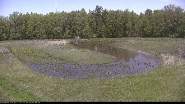 Cell 4_24-05-08_13-42-38-33