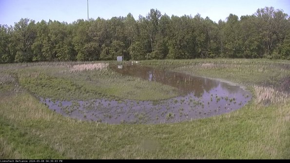 Cell 4_24-05-08_16-30-04-33