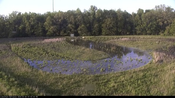 Cell 4_24-05-08_19-51-00-34