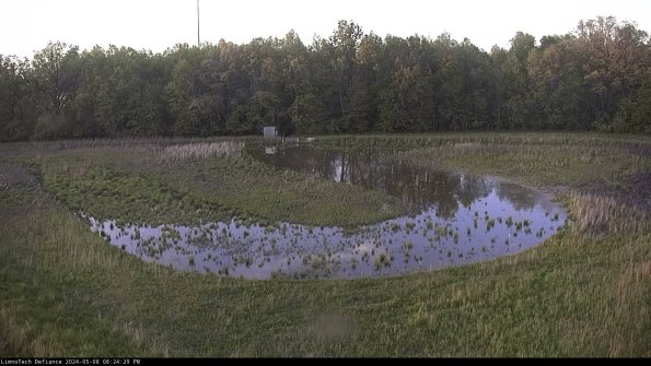 Cell 4_24-05-08_20-24-30-33