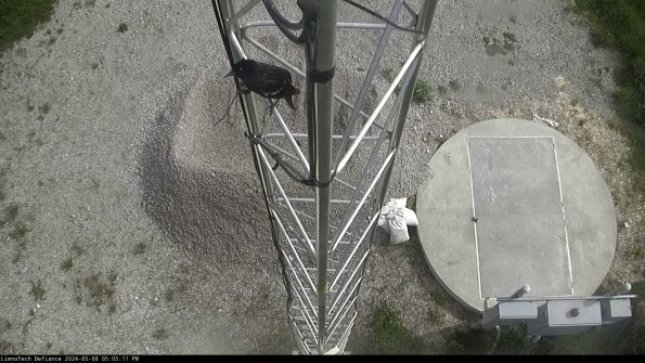 Hatch_24-05-08_17-05-12-31