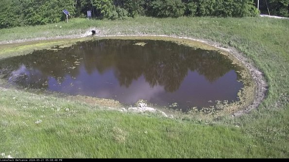 Basin Right_24-05-21_17-08-49-34