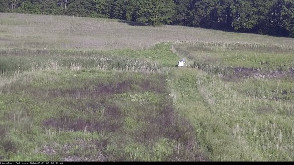 Cell 1 to 2_24-05-21_08-10-33-33