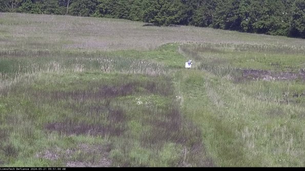 Cell 1 to 2_24-05-21_09-51-01-33