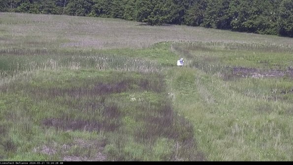 Cell 1 to 2_24-05-21_10-24-29-31