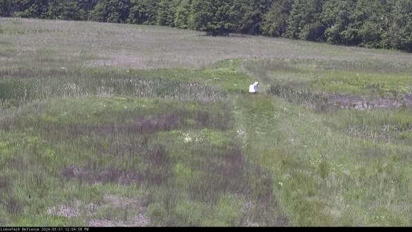 Cell 1 to 2_24-05-21_12-04-59-31