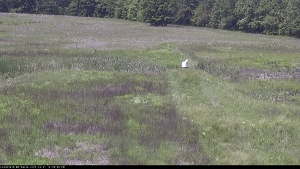 Cell 1 to 2_24-05-21_12-38-29-39