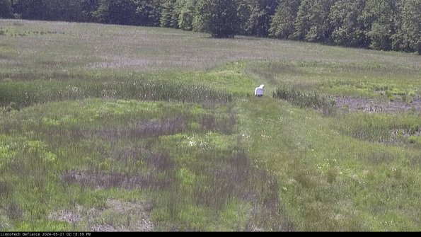 Cell 1 to 2_24-05-21_14-19-00-31