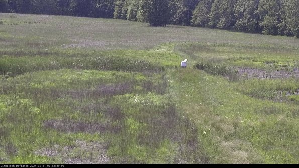 Cell 1 to 2_24-05-21_14-52-30-33