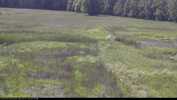 Cell 1 to 2_24-05-21_15-25-59-35