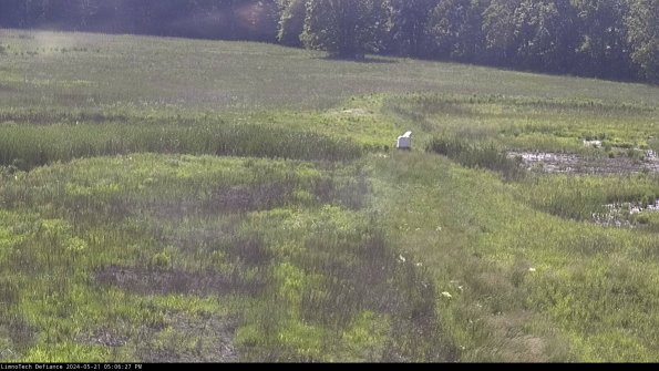 Cell 1 to 2_24-05-21_17-06-28-33