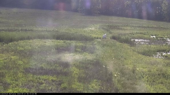 Cell 1 to 2_24-05-21_18-13-26-33