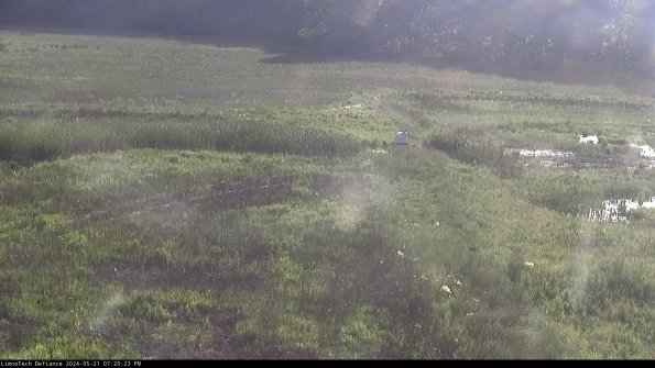 Cell 1 to 2_24-05-21_19-20-24-33