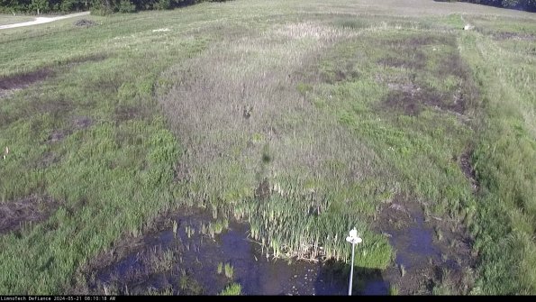 Cell 1_24-05-21_08-10-19-32