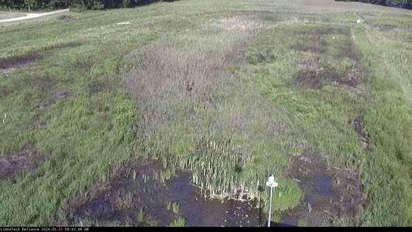 Cell 1_24-05-21_08-43-47-34