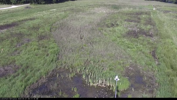 Cell 1_24-05-21_09-17-17-33