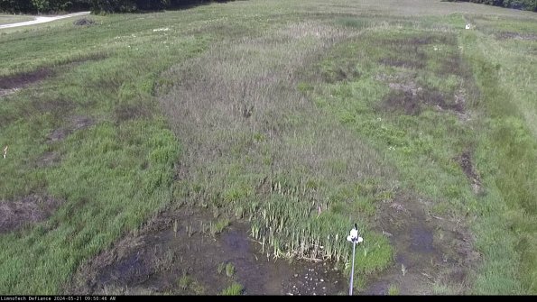 Cell 1_24-05-21_09-50-47-32